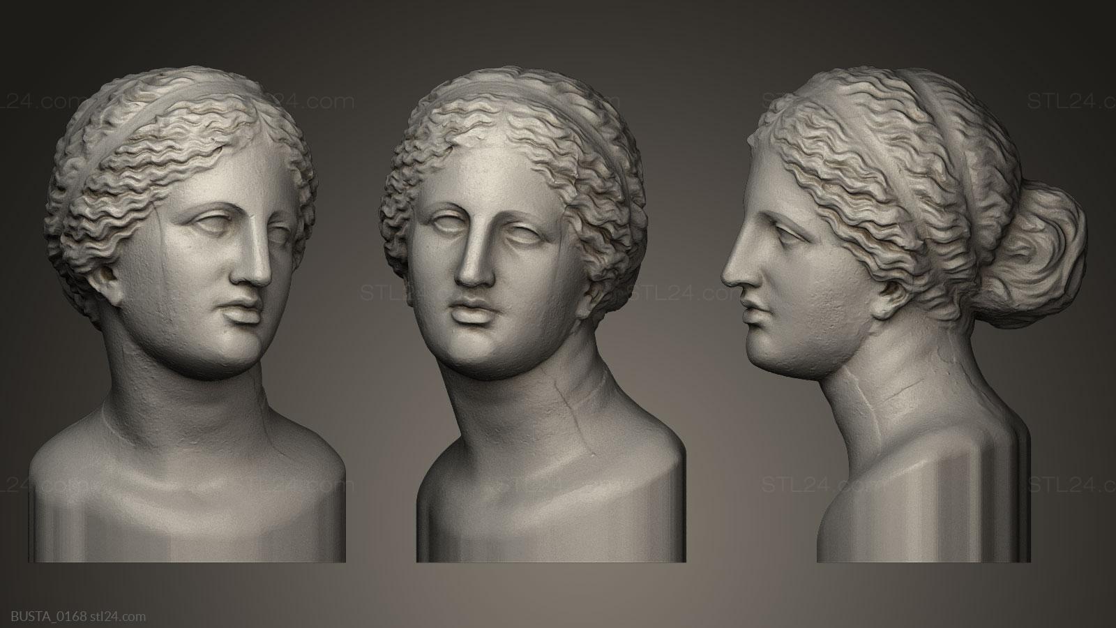 Бюсты и головы античные и исторические (ВЕНЕРА, BUSTA_0168) 3D модель для ЧПУ станка